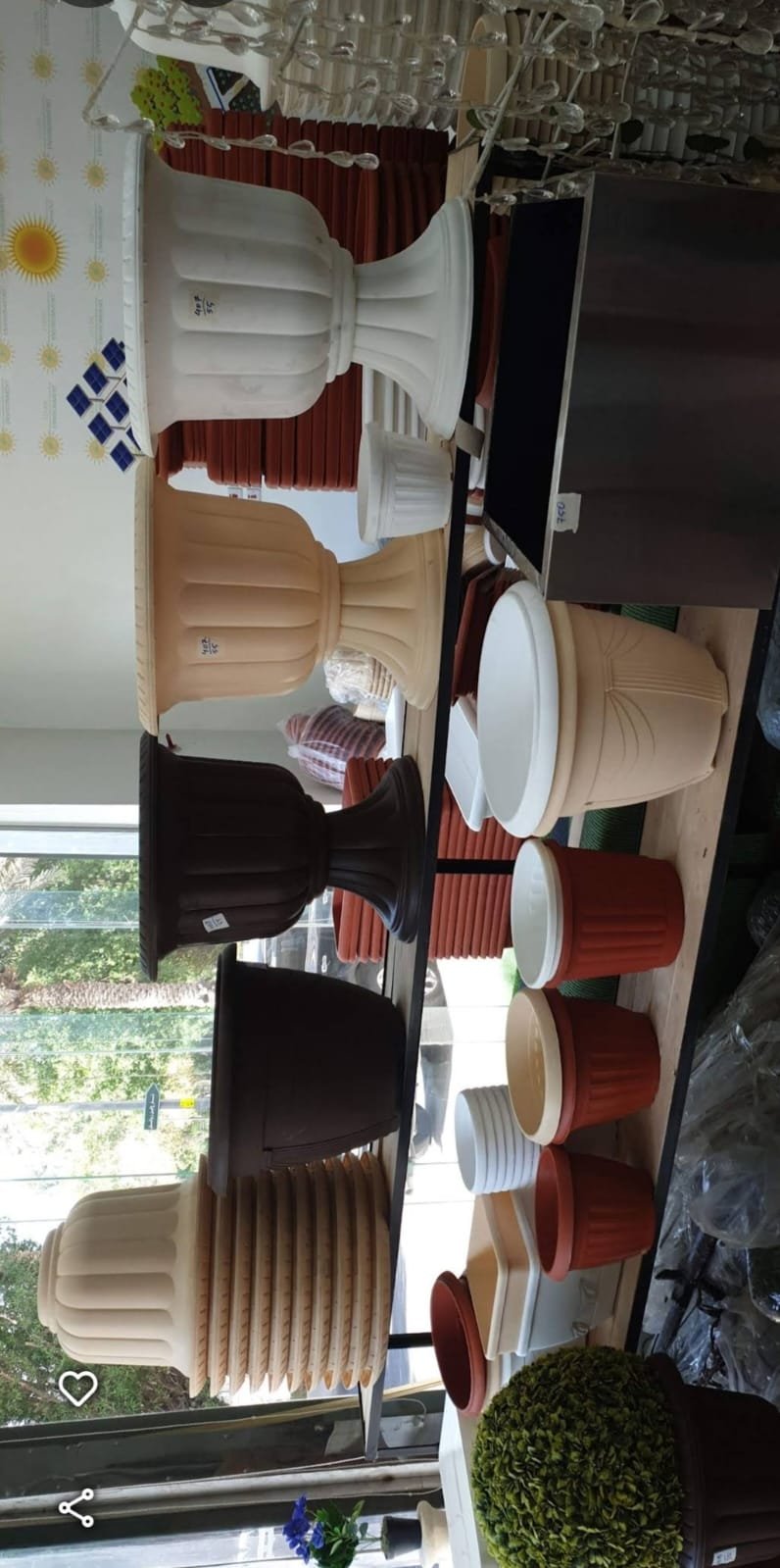 IMG-20250810-WA0019